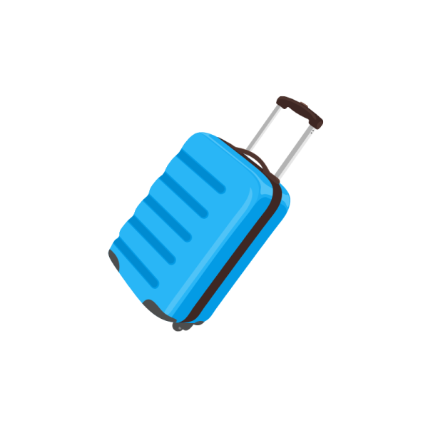 Luggage Bag